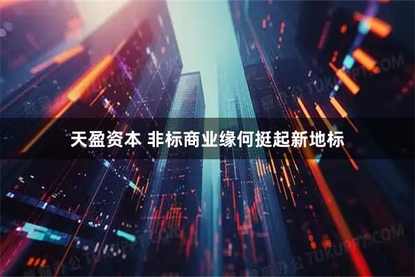 天盈资本 非标商业缘何挺起新地标
