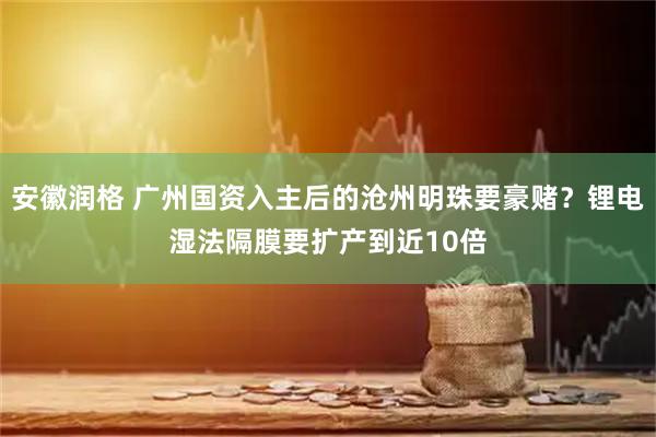 安徽润格 广州国资入主后的沧州明珠要豪赌？锂电湿法隔膜要扩产到近10倍