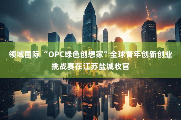 领域国际 “OPC绿色创想家”全球青年创新创业挑战赛在江苏盐城收官