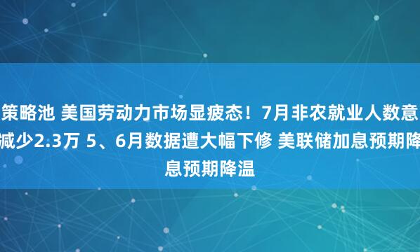 策略池 美国劳动力市场显疲态！7月非农就业人数意外减少2.3万 5、6月数据遭大幅下修 美联储加息预期降温