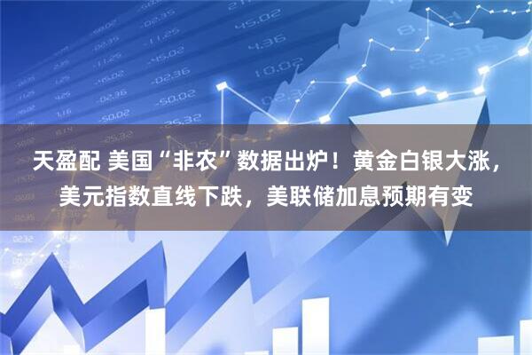 天盈配 美国“非农”数据出炉！黄金白银大涨，美元指数直线下跌，美联储加息预期有变