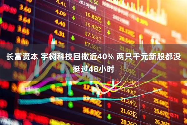长富资本 宇树科技回撤近40% 两只千元新股都没挺过48小时